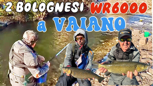 2 bolognesi wr 6000 a vaiano