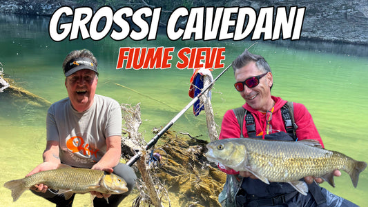 Nel fiume Sieve alla ricerca dei grossi cavedani