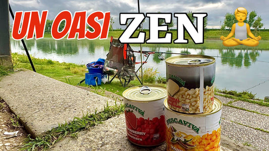 Un oasi zen