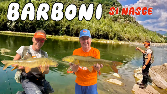 Barboni nel fiume Serchio